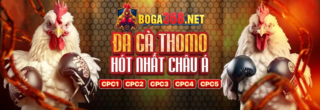 Hình ảnh đá gà trực tuyến sôi động tại hello88 pet